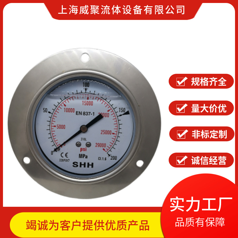 不锈钢高压防震压力表400MPA。径向外螺纹4000BAR公斤 轴向法兰边