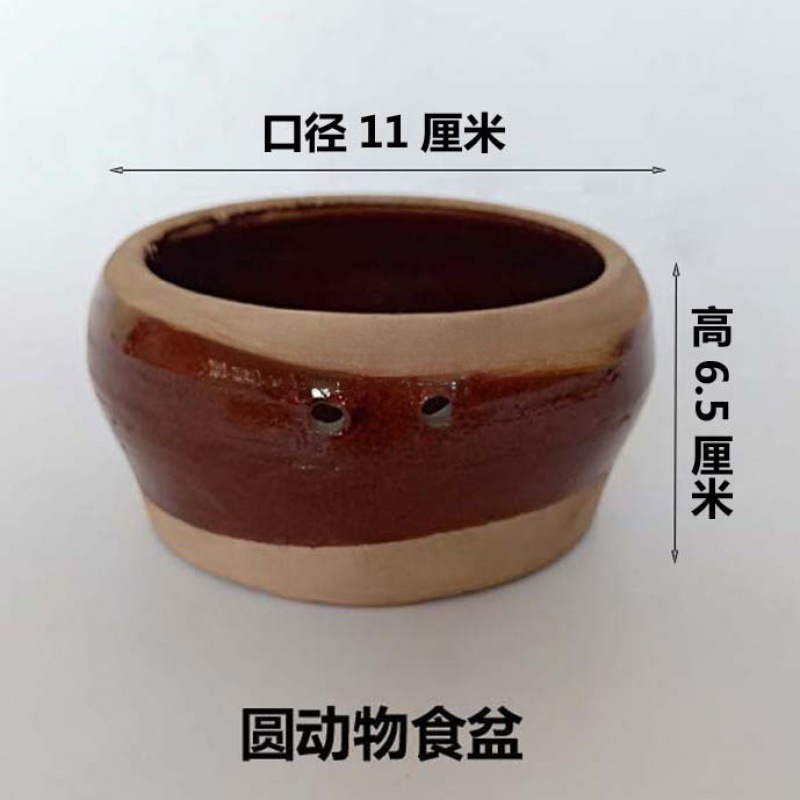 圆动物食盆