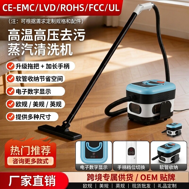 Cross-border small household steam cleaner, multifunctional for kitchen grease, air conditioning, high-temperature appliance cleaning, high-power