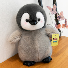 �O�����Z���д��ȷ������Z��ż��ͯ������żë�q������նY������