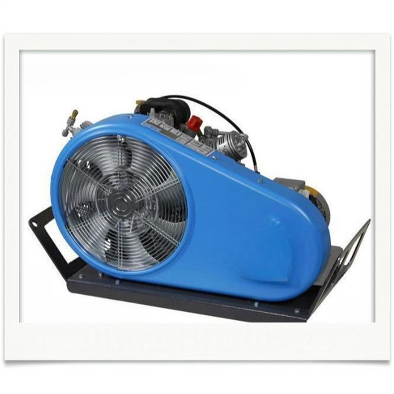 BAUER 200/250/300 - TE系列呼吸器充气泵