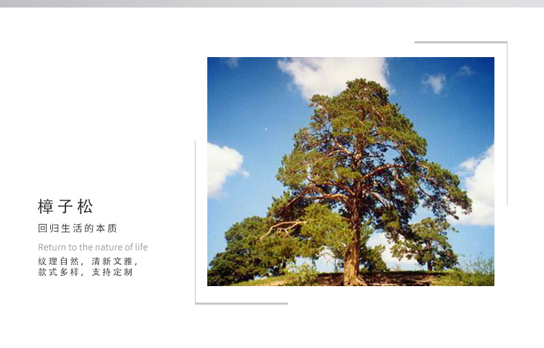 未标题-2-拷贝_02