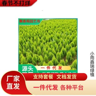 һ�����l�G����ľ���Ԟ�����瞢������S���С��ͥԺ�̨�辰��