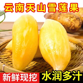 橙;菠萝蜜;其他水果