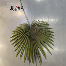 ���͟Ꭷֲ���ѿ��~�ؙ����~�Ž��~�����B���˽��[�Ż�ˇާ�~ɢβ