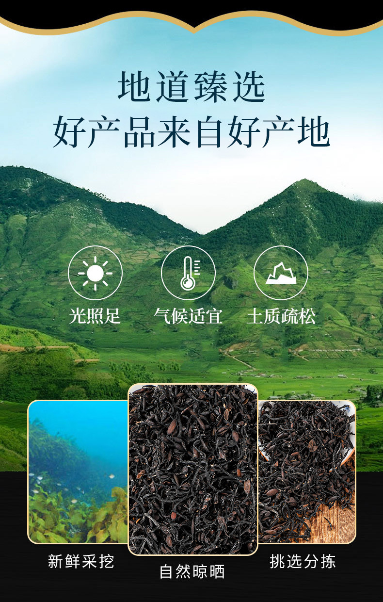 Seaweed (Sargassum) — Dried Hai Zao Herb & Powder, Food-Herb for Soup & Tea overview