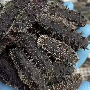 ���B����һ������4�Ŵ̝M���ǵ��ɺ����S��ֱ�N�ɴ�Y�д��B����