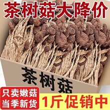 ��؛��乽��؛���ﲻ�_���乽�㹽�Ҝ�ʳ�����خa��؛���l���]