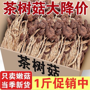 ��؛��乽��؛���ﲻ�_���乽�㹽�Ҝ�ʳ�����خa��؛���l���]