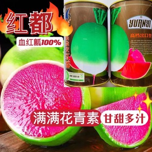 �������}���N�ӝM�üt�ľGƤˮ���}���N�Ѵ����＾���߲��}���N��