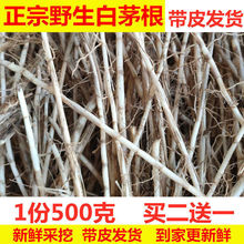 é�����r ��é�� �zé�ݸ���ë���� é�ݸ� ��Ƥé����؛��؛