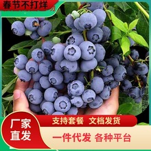 һ�����l�{ݮ�������{ݮ����籱���Ϸ��Nֲ�ļ����䱡�F�����ش�