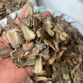 其他药食同源;花果茶;其他滋补