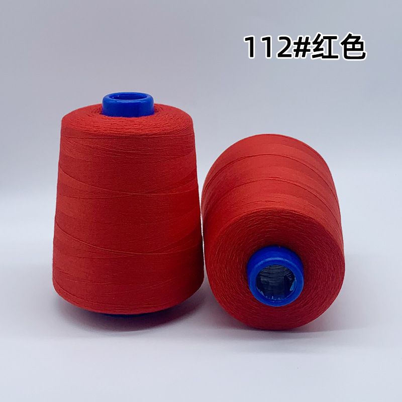 202 굵은 선 - 빨간색