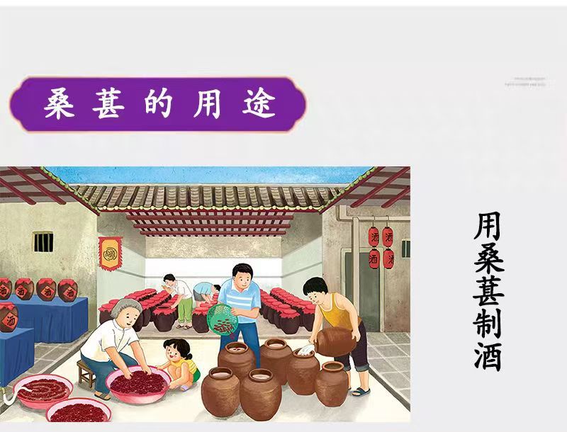 Dried Mulberry Fruit Sang Shen Zi 180g Jar Ready to Eat Snack for Daily Herbal Tea and Wellness specifications