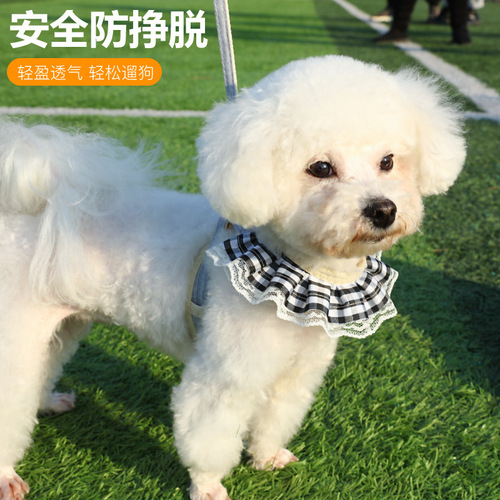 Harness Dog Leash Cat Leash Cat Pomeranian Teddy Leash Wholesale Dog Leash Dog Leash Dog Chain