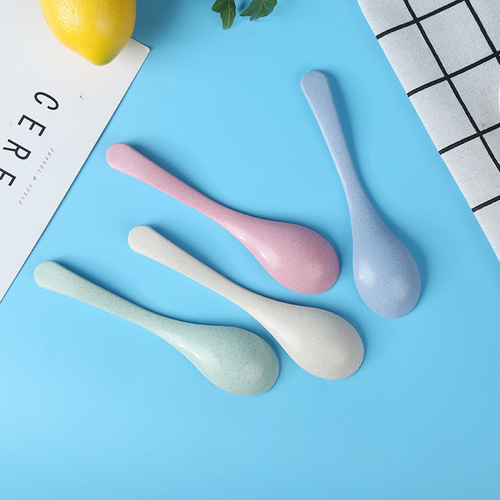 Internet celebrity Nordic spoon wheat straw spoon household plastic small spoon cross-border Amazon tableware spoon set