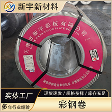 新宇彩涂卷 彩涂板卷彩钢瓦SGCC彩钢卷板镀锌彩钢板 批发彩钢卷