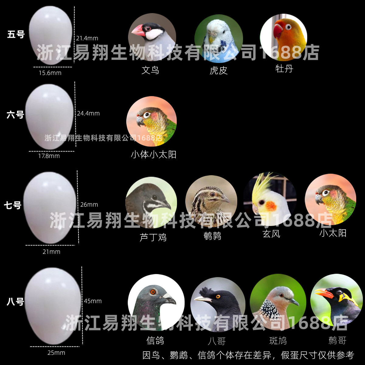 参考2鸟蛋_副本