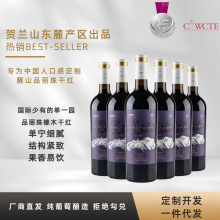 正品宁夏贺兰山东麓醒山品丽珠干红葡萄酒高端原瓶源头厂家批发