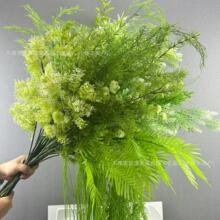 ���滨ɭϵ��Y��ԭɫ��G�\�G �J���� ���R���Rβ����������b�