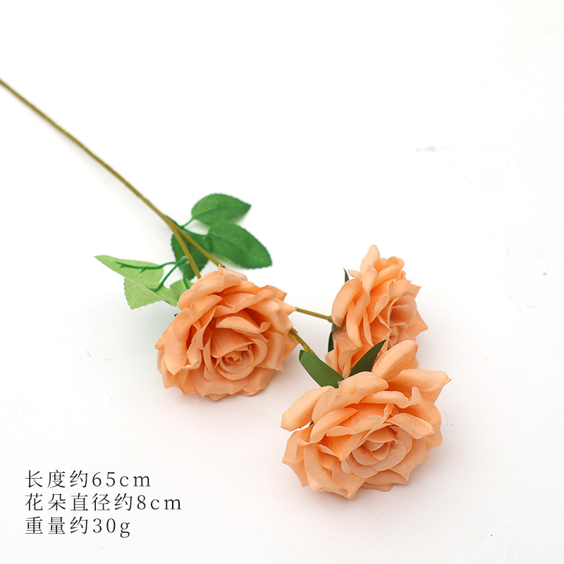 팔레트 콜라