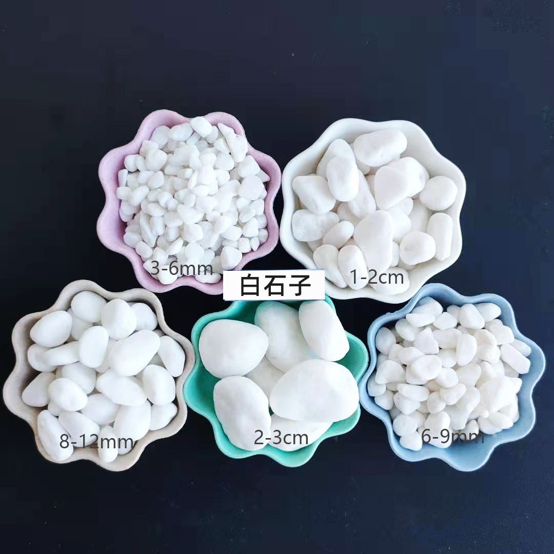 白石子加5