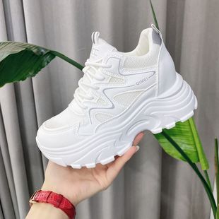 ��ɫ�W��͸������߰ٴ��ϵ�Ь��2025�����¿�С�������m��ĥŮЬ