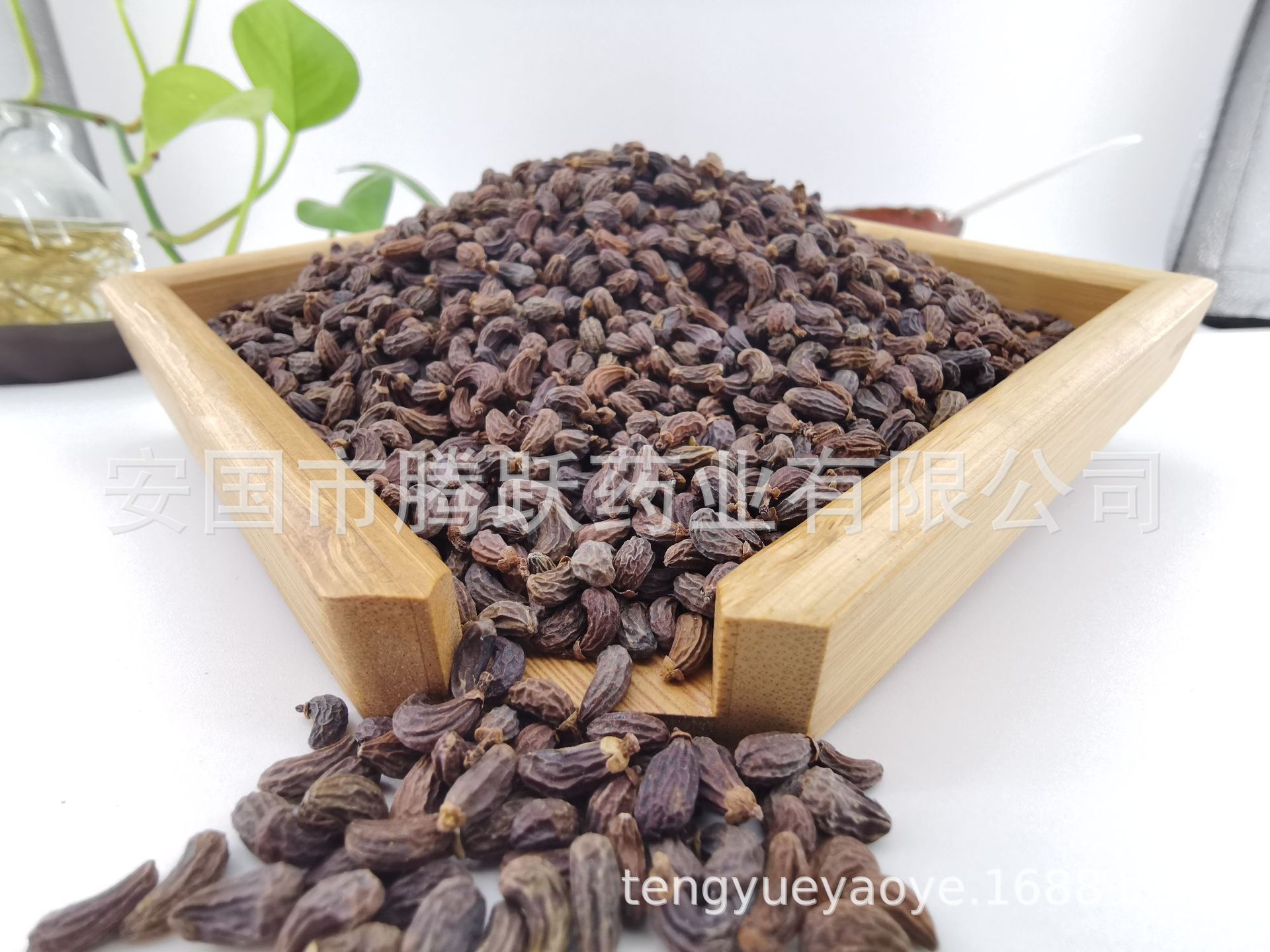 Dried Ligustrum Fruit Nuzhenzi Whole Seeds 500g Traditional Chinese Herb for Decoction and Tea overview