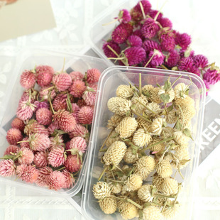 ���ǧ�շ�ǧ�ռt���b���^�ɻ� DIY���ϰ���޹Ϟ�T���λ� �ֹ�