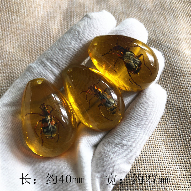 儿童挖掘考古昆虫标本 合成树脂琥珀昆虫 散装水滴盲盒标本现货|undefined