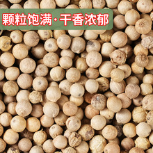 �������x�׺��������ڰ׺������ڰ׺������ؼ��׺����w����������