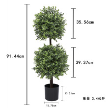 ����Gֲ�����҃�����ֲ��[��ͥԺ��ؾ��^�Gֲ������ٻ��b�