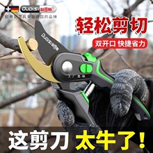 ��֦��@ˇ������֦���䌣�ü�����֦���ܹ�ľ���Ѽ��ӹ��ߴ�ȫͩ