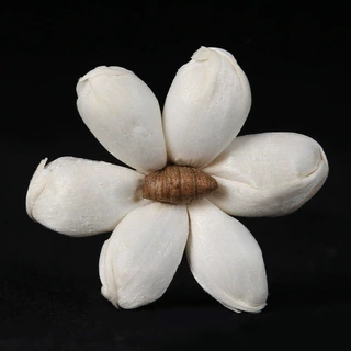 4cm田园风小茉莉通草花手工索拉花 家居装饰花可插细铁丝花艺插花
