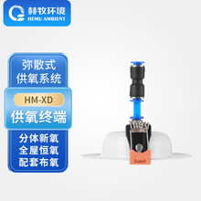 弥漫型布氧终端高原输送吸氧设备配套可用HM-XD源头生产 赫牧环境