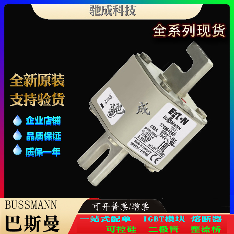 巴斯曼170M4065 170M4066 170M4067 现货供应批发零售 特种保险丝