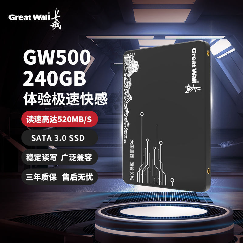 Qiwei direct sales factory gw500-240gb official authentic-original authentic [no pre-installed system]