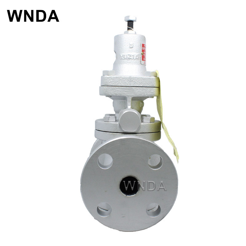 �ձ�ҫϣ�￭GP-1000H��ѹ�� PN16������ѹ���ֱ�ʽ������ѹ��