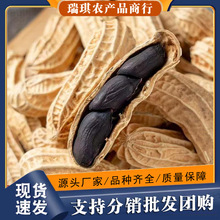 ��ϸ��ڻ������� ��Ƥ�������»����� �N��M���w����Ƥ����