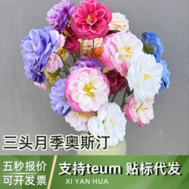 仿真花;仿真绿植;仿真果蔬