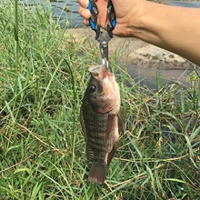 ���l����๦�ܲ��P�·���Q���~���_�h���U���R����������~�Q��