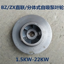BZ/ZXֱʽ��������ʽ�ܵ����x�ı��T�F�~݆ˮ�����1.5KW-22KW