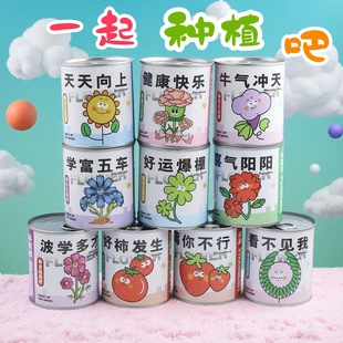 Can Planting Internet Celebrity Blessings Office Green Plants Small Potted Plants Kidsren's Desktop Mini Can Magical Small Gifts