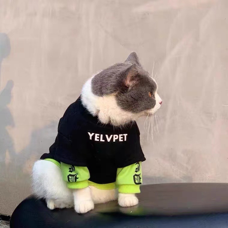 秋冬猫咪狗狗潮牌衣服布偶猫蓝猫防掉毛小型犬雪纳瑞宠物加绒卫衣|undefined