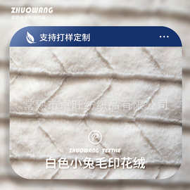 厂家供应白色提花小兔毛印花绒布女装家纺面料腈纶仿兔毛毯子面料