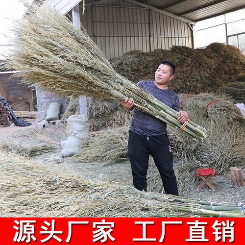 Small bamboo broom, large broom, sanitation road sweeping, street sweeping, home courtyard, large broom, bamboo construction site outdoor