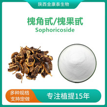 ������ȡ�ﻱ��߰98%������Sophoricoside 500g/������Ⱦ��ľ��