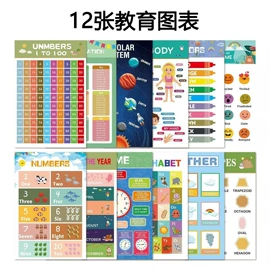 玩具挂图;早教闪卡;其他益智玩具
