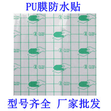 �t��ˮpuĤ͸Ƥ�N�÷��N�z��ϴ���ĚѨλ�����N���g��͸�����o